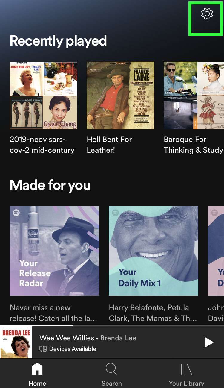 كيفية تعطيل Spotify التشغيل التلقائي على iPhone 38
