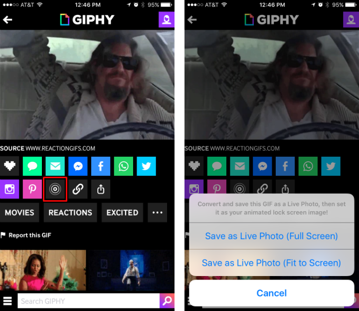 How to turn GIFs into Live Photos with Giphy on iPhone.