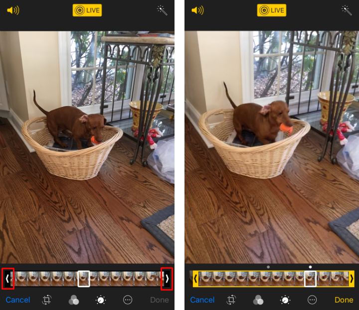 How to cut Live Photos and change the key photo on iPhone and iPad.