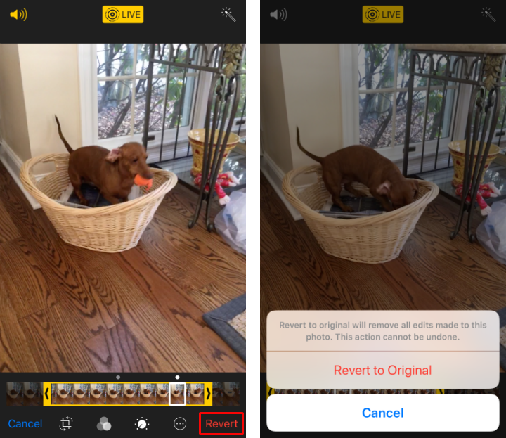 How to trim Live Photos and change the key photo on iPhone and iPad.