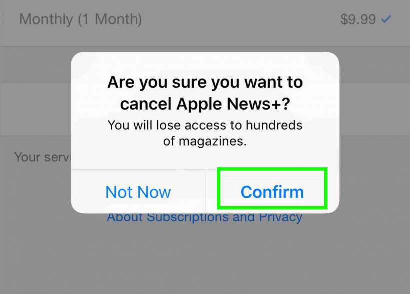 Cancel Apple News+ subscription 4