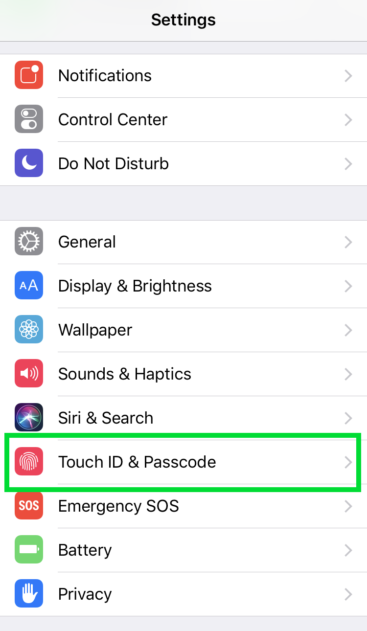 iOS Passcode 1