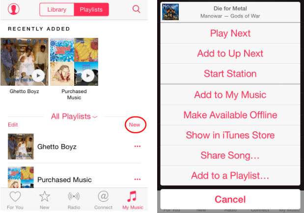 Apple Music Playlist