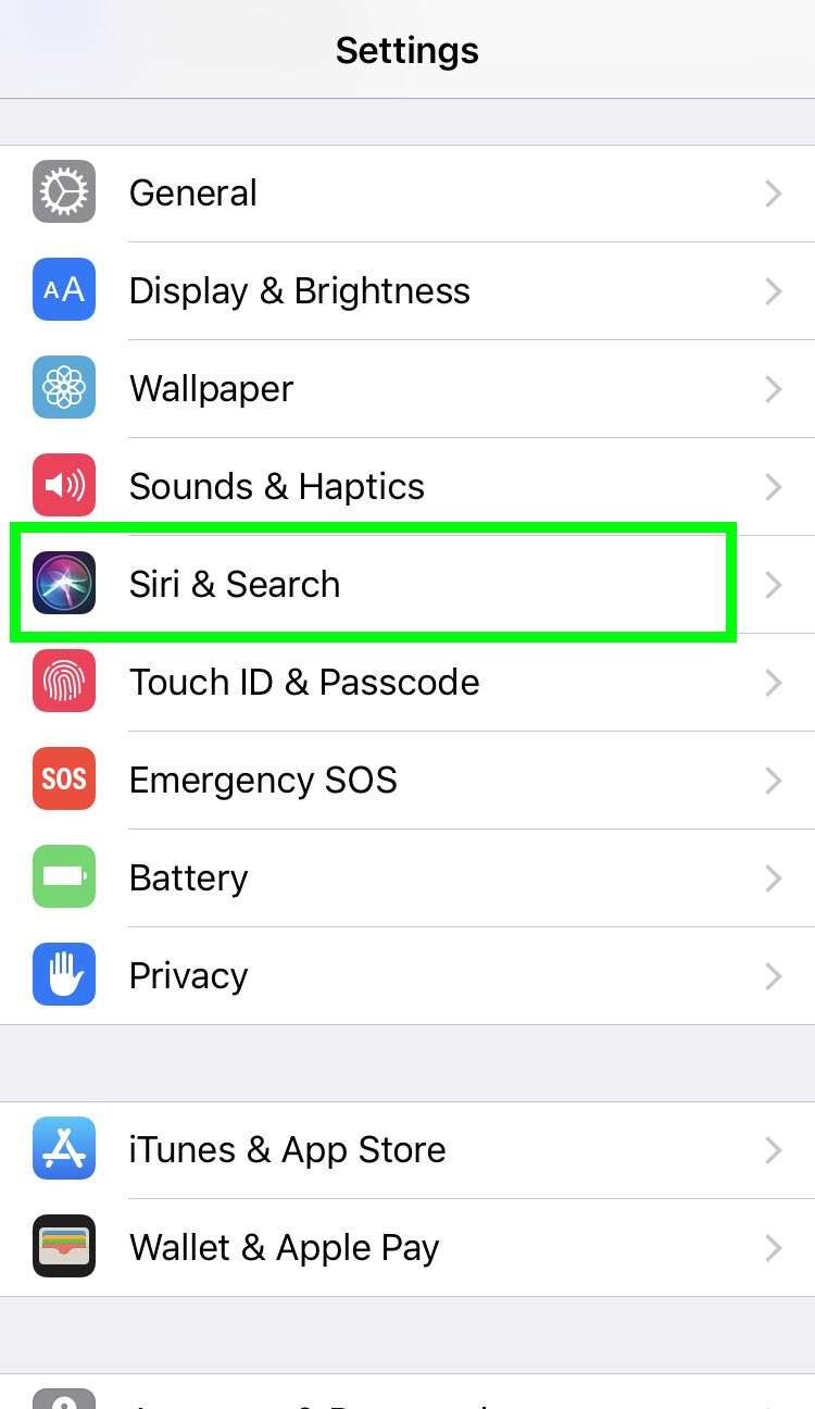 Siri iOS Settings