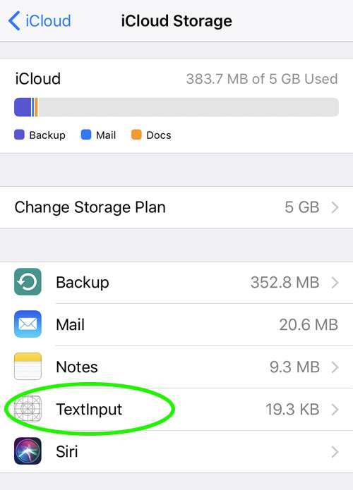 TextInput iCloud storage