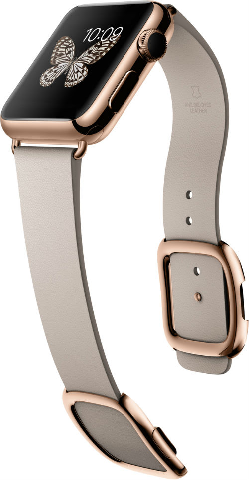 Everything You Need to Know About the Apple Watch