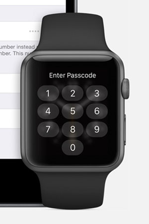 Apple Watch security