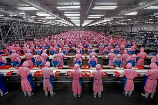 Foxconn to begin iPhone 6 production