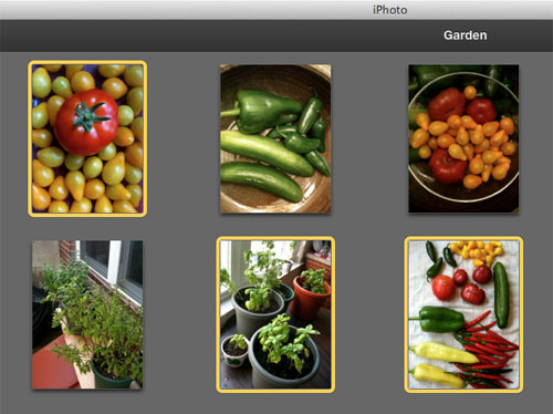 export images with iPhoto