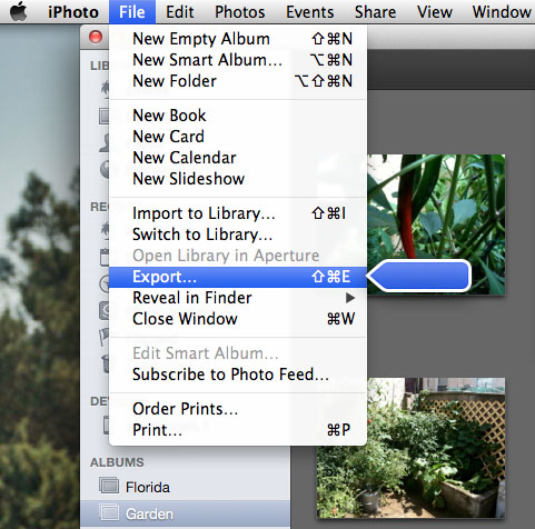 export images with iPhoto 2