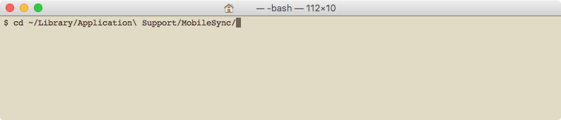 Terminal change directory MobileSync