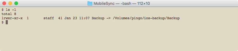 Terminal check symbolic link Backup