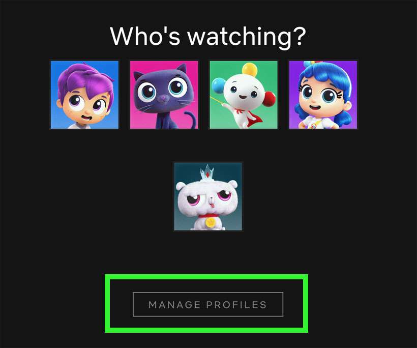 Netflix profiles 1 Netflix profiles 1