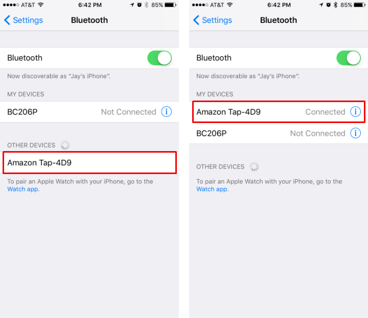 stream iphone to echo dot