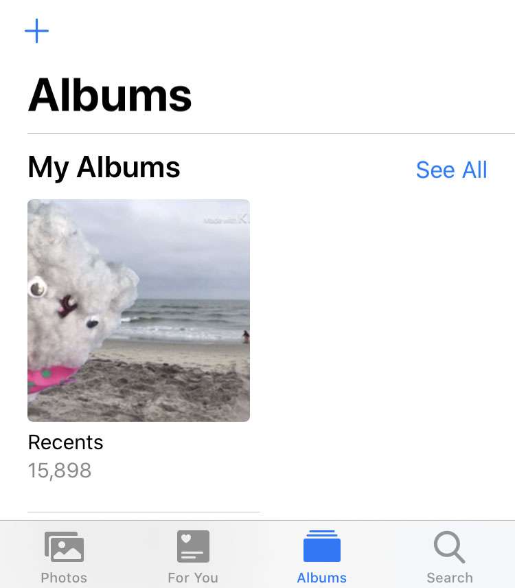 The album formerly known as Camera Roll