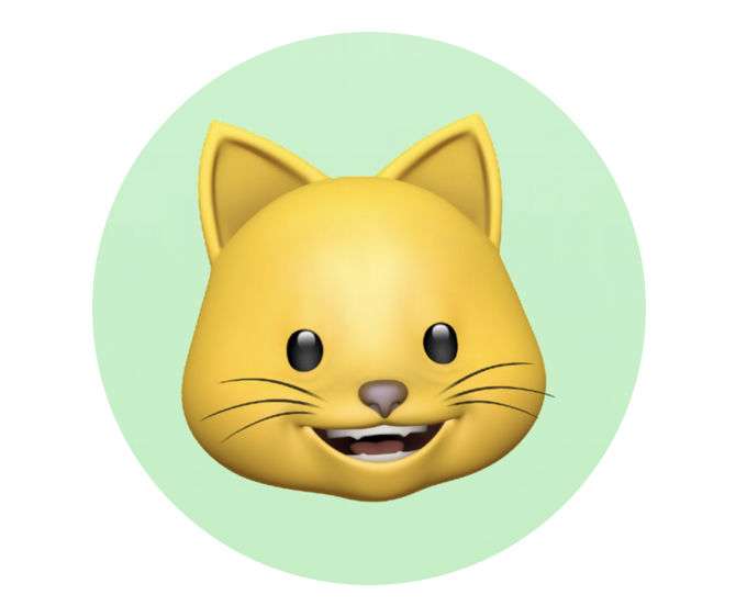 How to set Animoji and Memoji as profile pics for your friends contacts on iPhone and iPad.