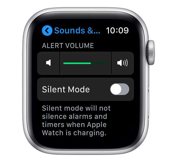 Apple Watch volume