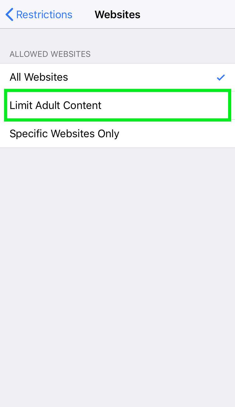 How to block websites on iPhone iPad 7