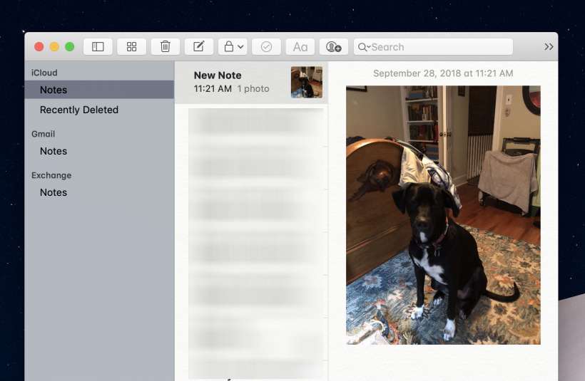 How to use Continuity Camera with your Mac, iPhone and iPad. How to use Continuity Camera with your Mac, iPhone and iPad.
