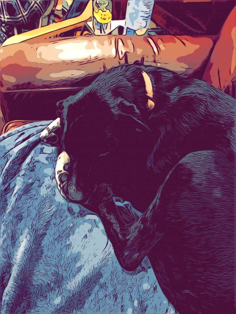 How to make your photos look like comic book art on iPhone and iPad.