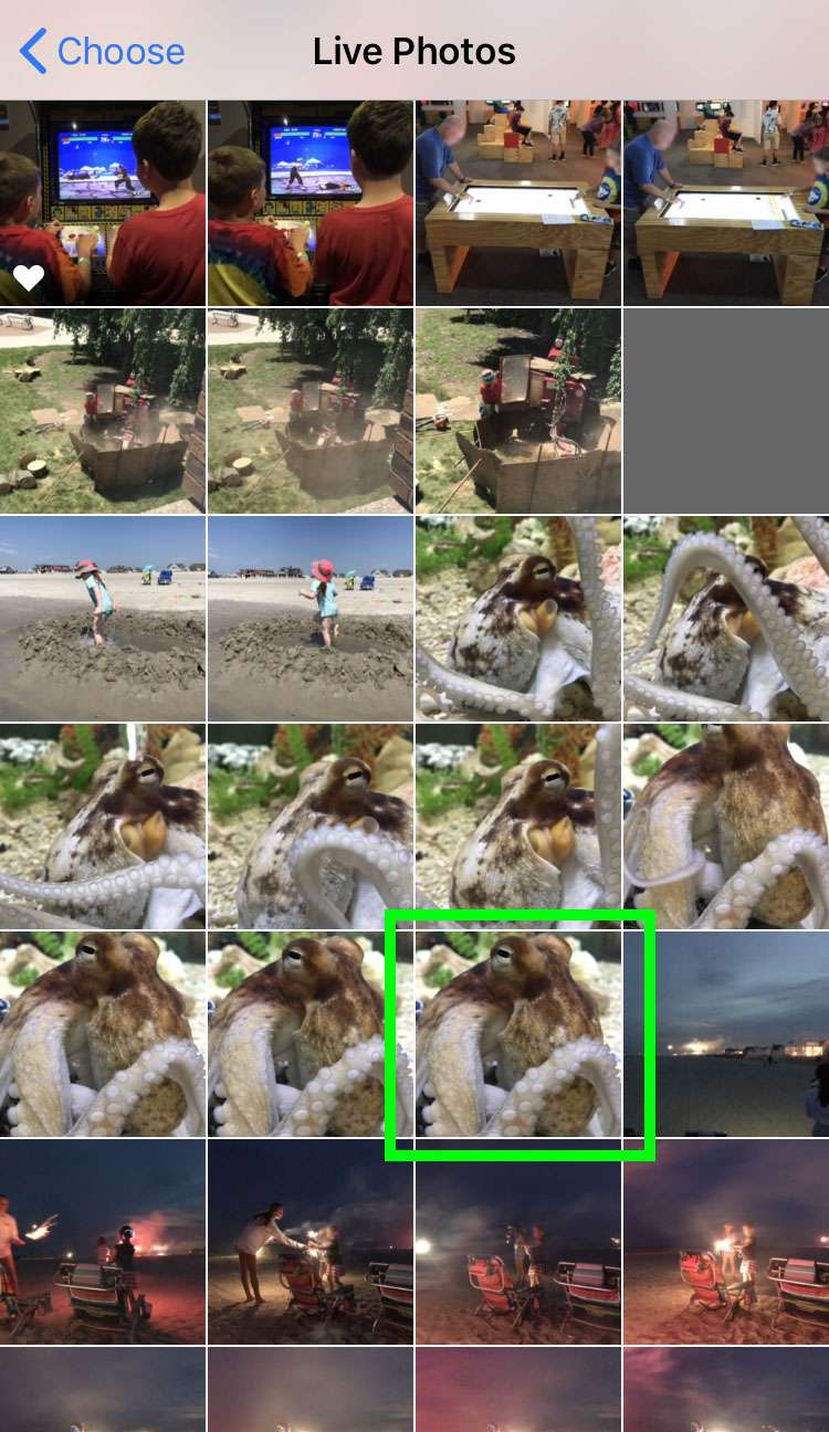 Choose Live Photo for Dynamic wallpaper on iPhone Choose Live Photo for Dynamic wallpaper on iPhone