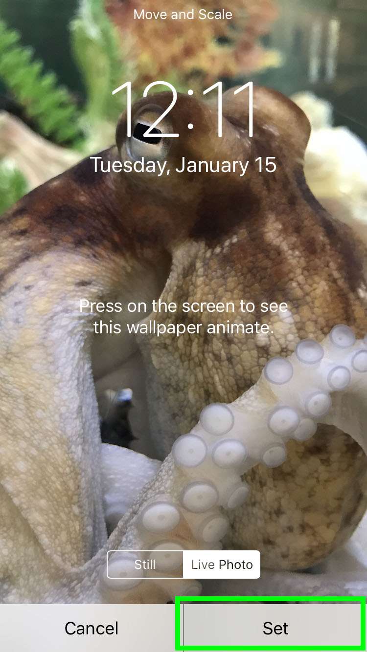 Animate iPhone Lock Screen wallpaper