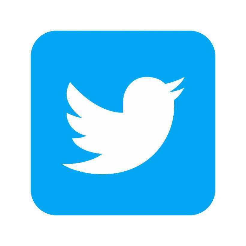 Twitter bird