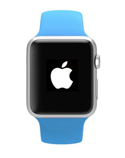 Apple Watch booting