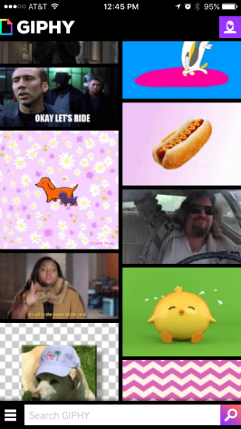 How to turn GIFs into Live Photos with Giphy on iPhone.