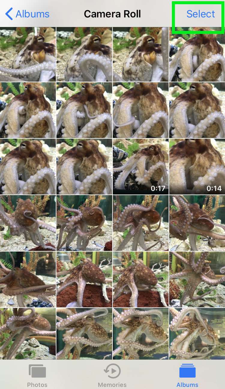 How to hide photos on iPhone 1 How to hide photos on iPhone 1