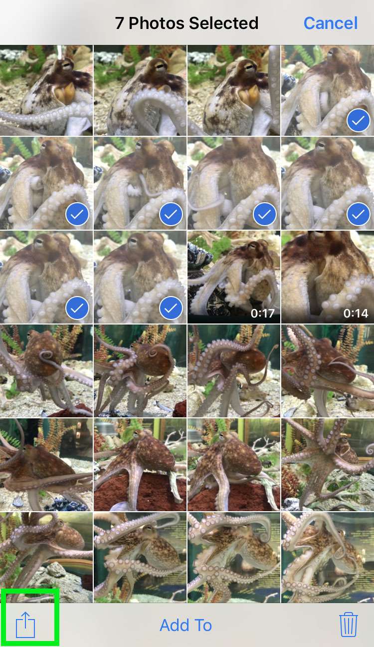 How to hide photos on iPhone 2 How to hide photos on iPhone 2
