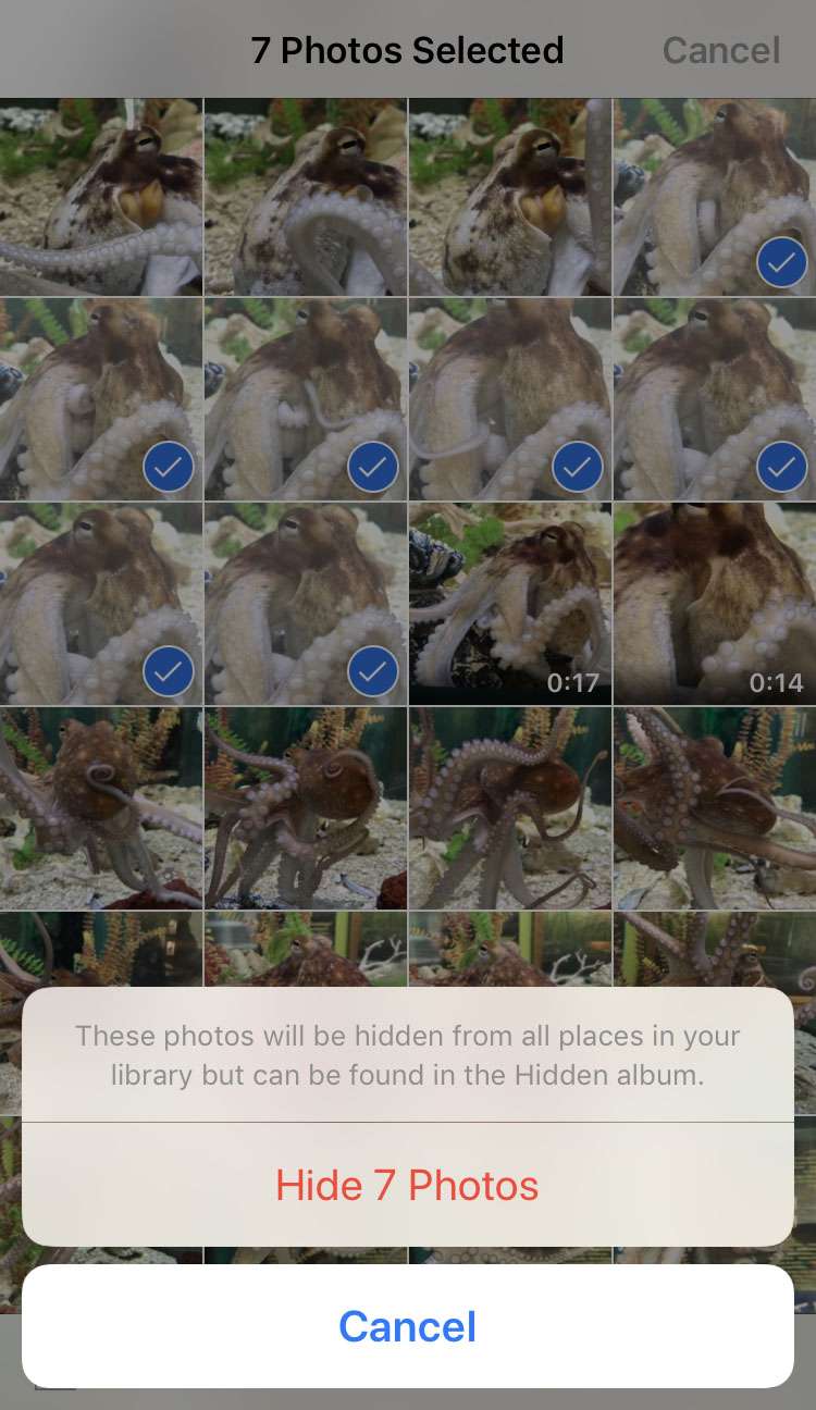 How to hide photos on iPhone 4 How to hide photos on iPhone 4