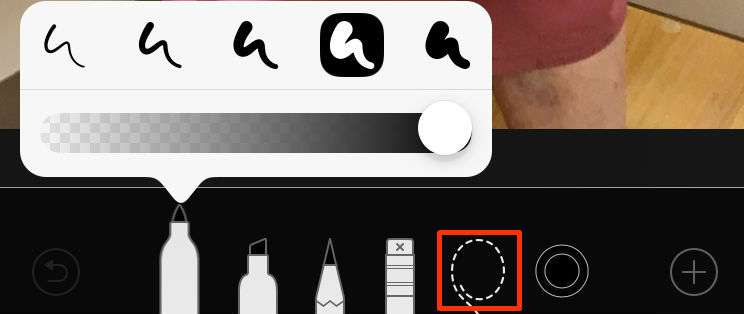 Lasso Tool Lasso Tool