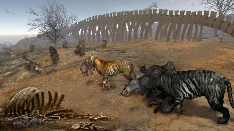 Life of Black Tiger Life of Black Tiger