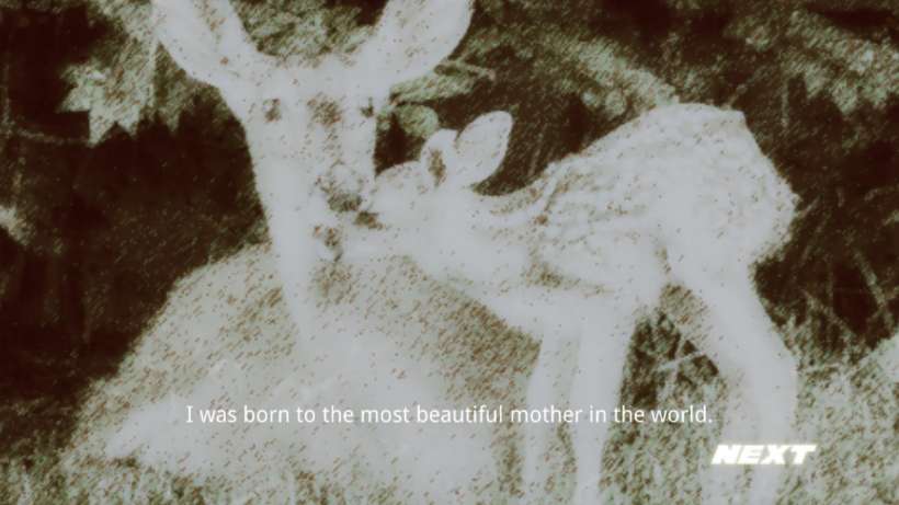 Life of Deer Intro Life of Deer Intro