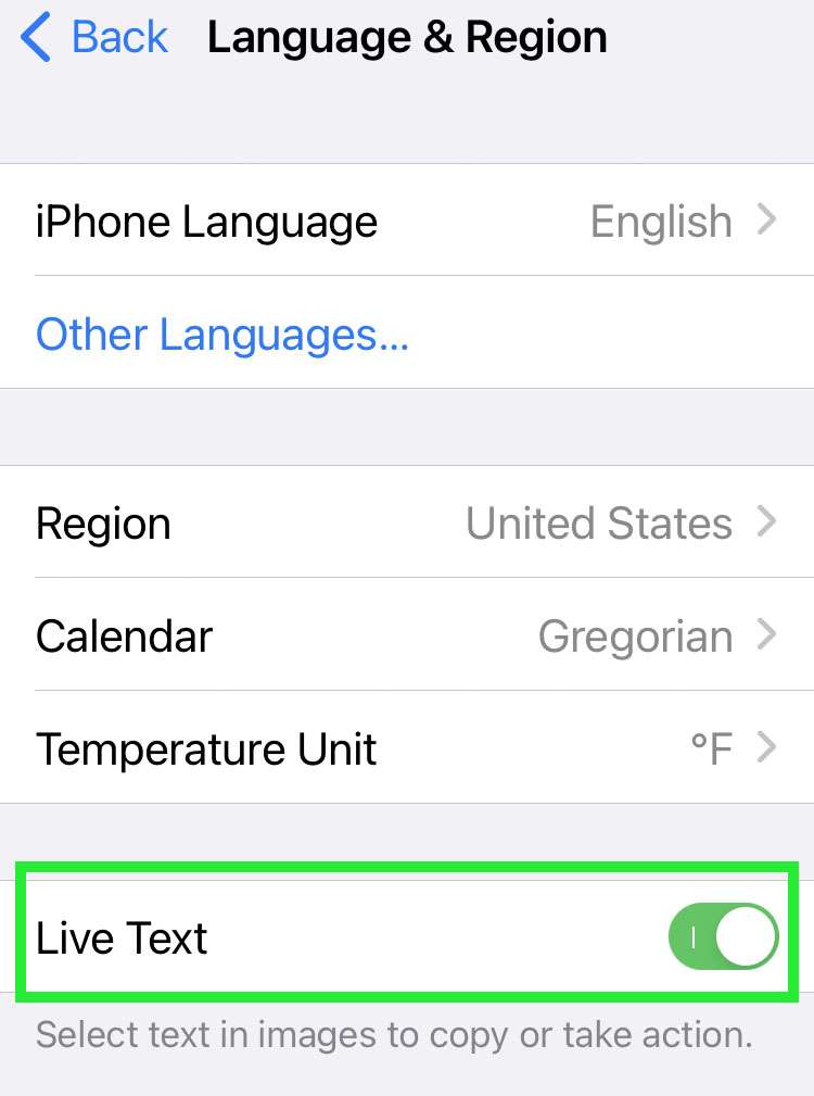 Live Text iPhone 3 Live Text iPhone 3