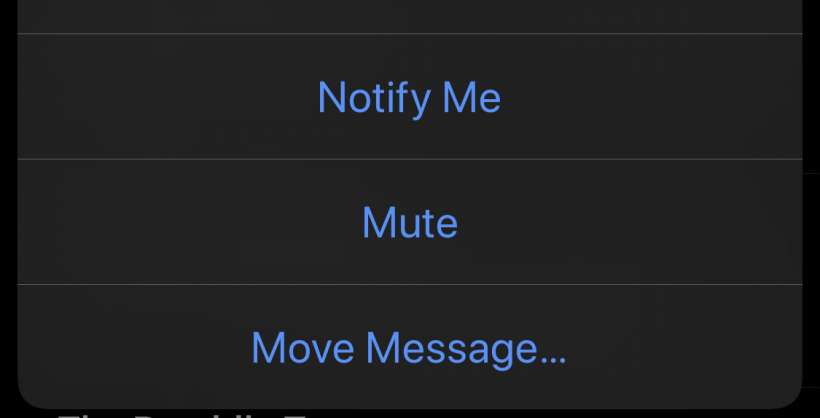 How to mute an email thread on iPhone and iPad.