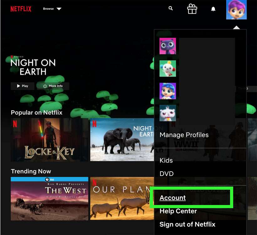 Netflix playback preferences 4