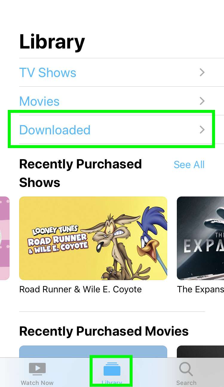 Watch shows offline Apple TV app 4