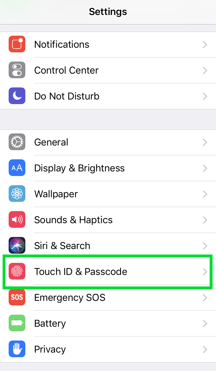 iOS Passcode 1 iOS Passcode 1
