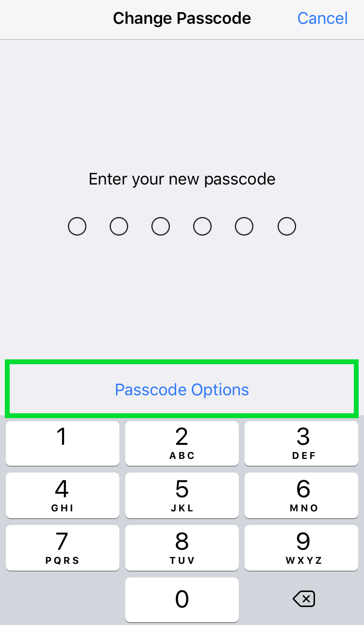 iOS Passcode 3