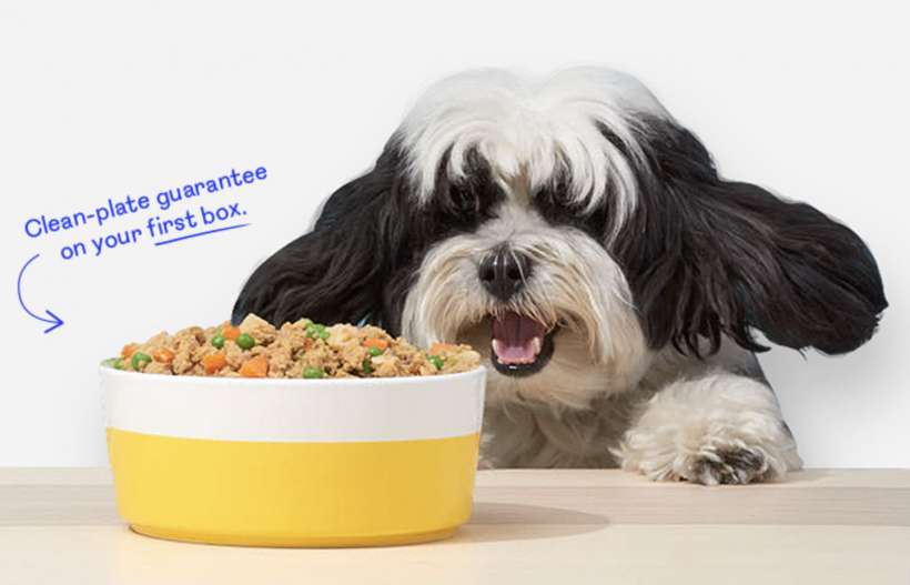 How to order dog / cat / pet food online from iPhone and iPad.