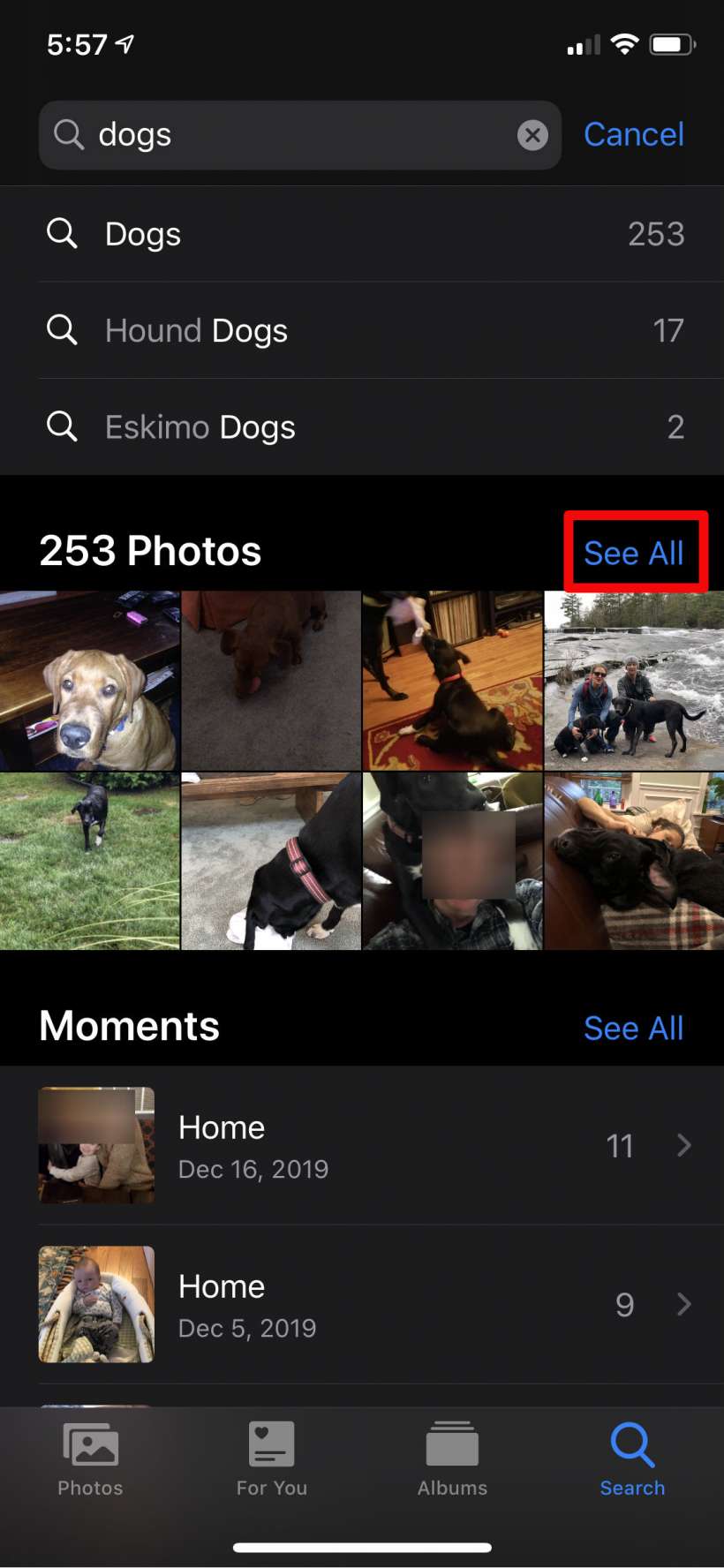 How to move photos of the same thing into an album on iPhone and iPad.