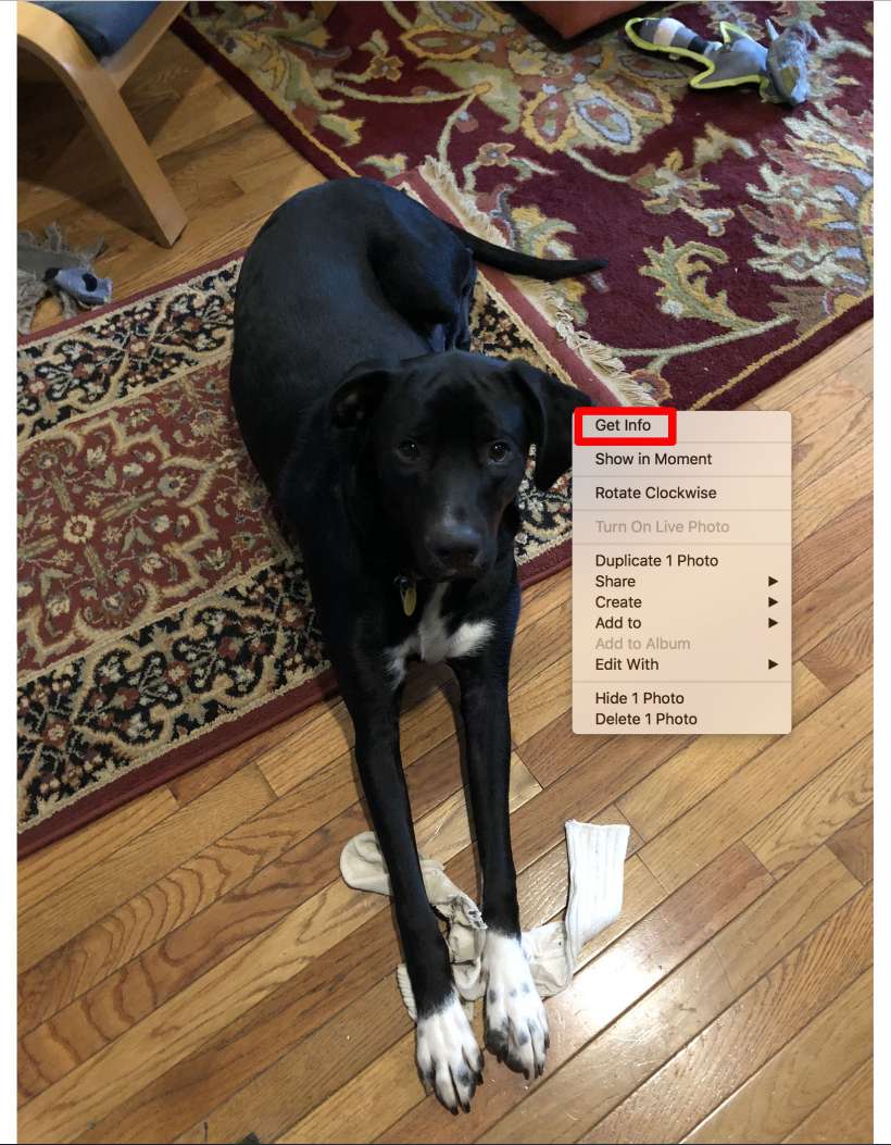 How to add keywords, titles and descriptions to your photos on iPhone. How to add keywords, titles and descriptions to your photos on iPhone.