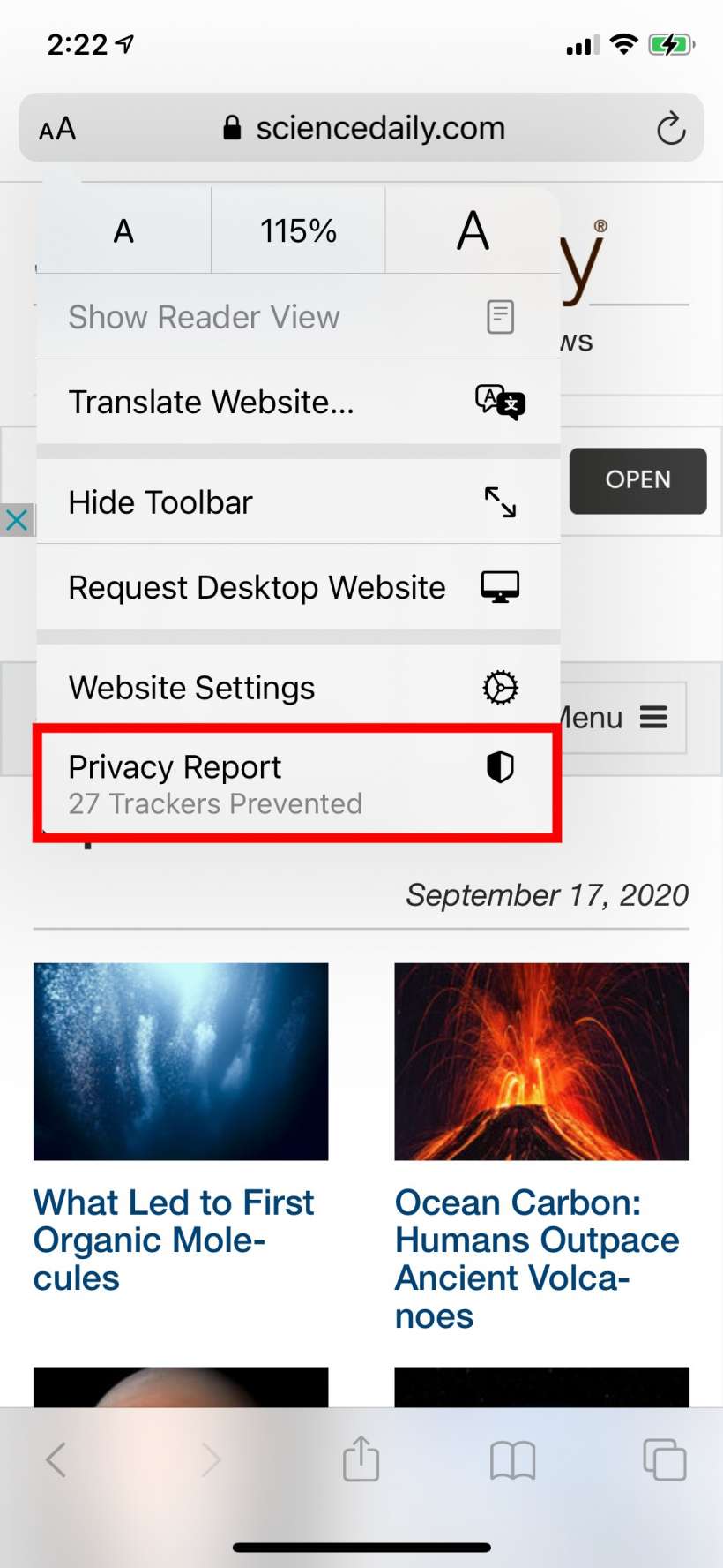 How to see your privacy report in Safari on iPhone and iPad.