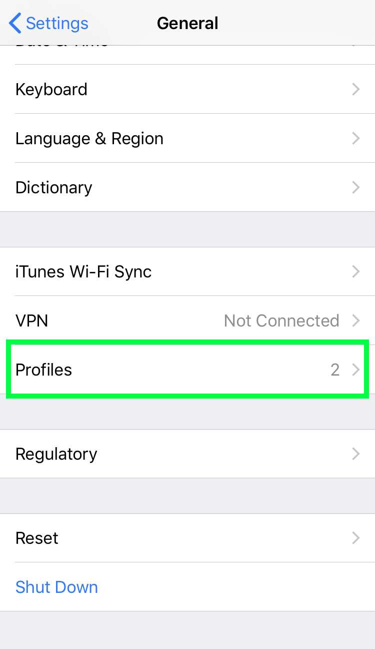 iOS Settings Profiles
