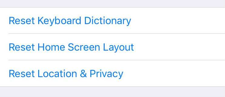 Reset iPhone Dictionary