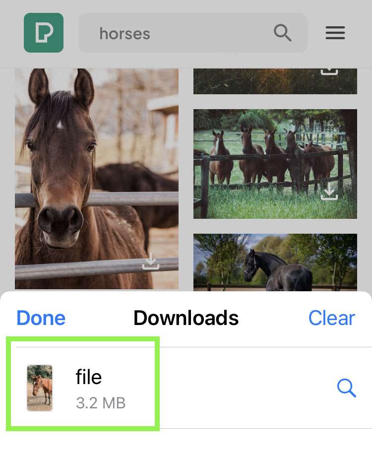 Safari download videos iPhone step 4