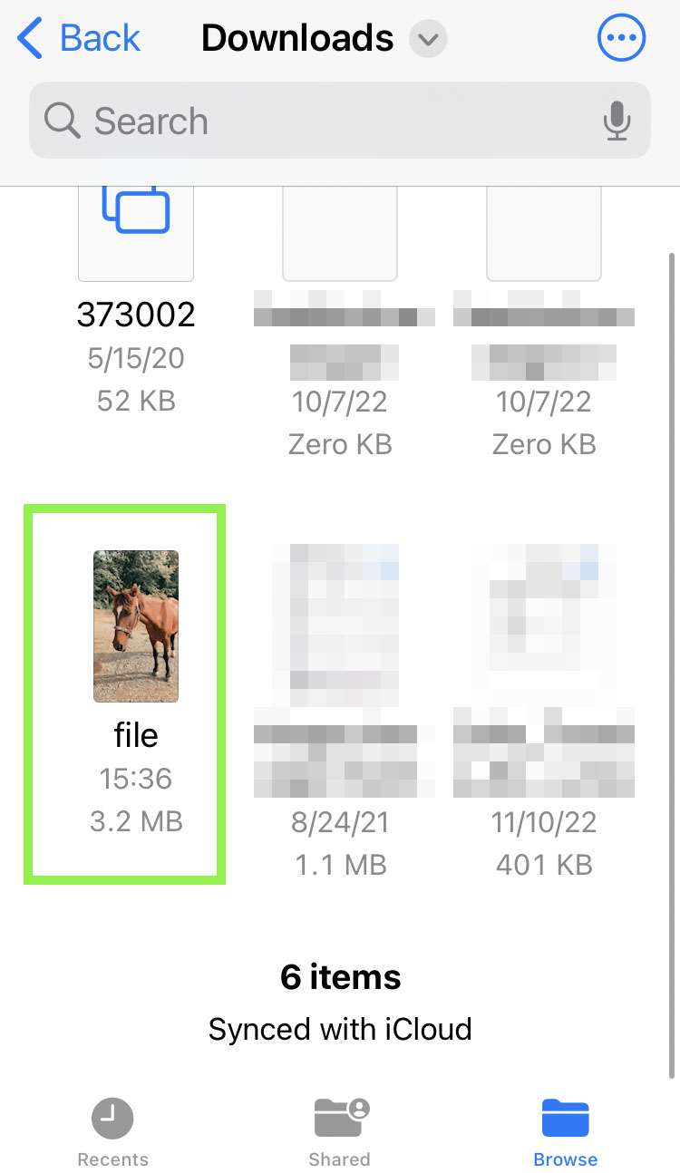 Downloaded video in Files Downloaded video in Files