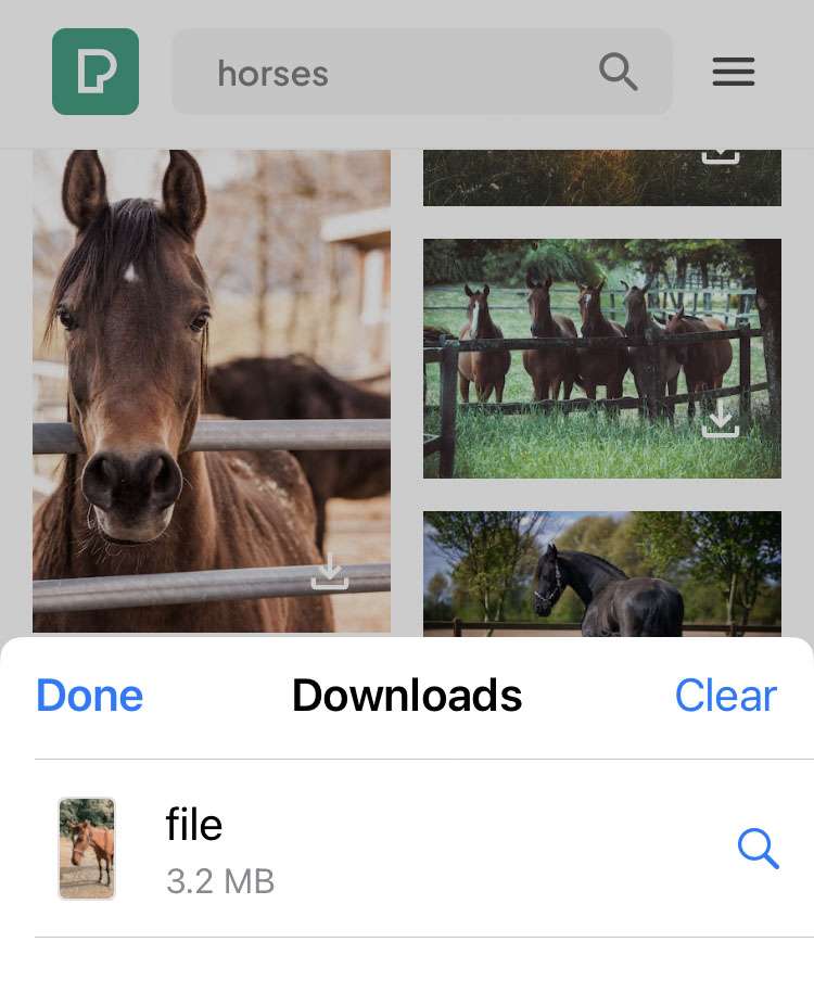Download horse videos iPhone